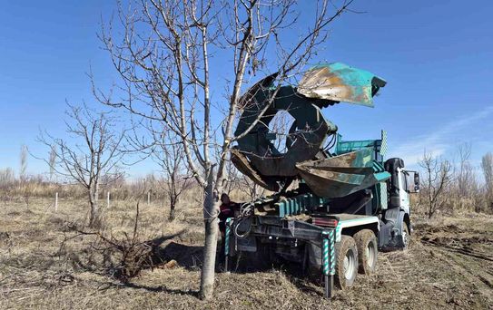Iğdır'da 15-16 yıllık 77 kiraz ağacı taşınarak kesilmekten kurtarıldı