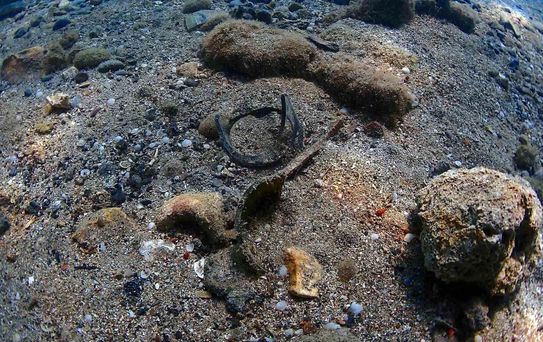 Büyükşehir'den Yat Limanı'nda deniz dip temizliği