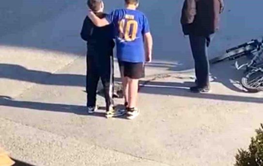 Çocuklar yaralı kedinin üzerini örtüp, başında nöbet tuttu