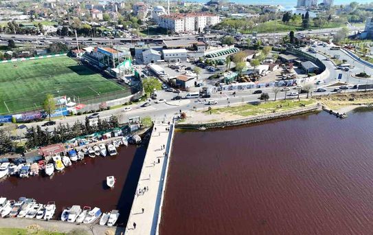 İstanbul'un göbeğindeki gölde korkutan görüntü