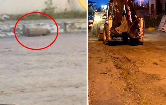 Eyüpsultan'da havan topu mermisi olduğu değerlendirilen mühimmat bulundu