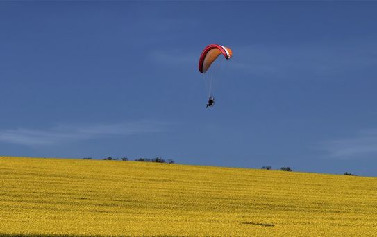 Sarı renge bürünen kanola tarlası üzerinde paramotorla uçtu