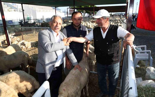 Talas'ta Kurban Pazarı başvuru tarihi belli oldu