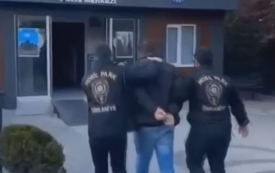 Rottweiler, küçük köpeğe saldırdı! Kadının çığlıkları mahalleyi inletti