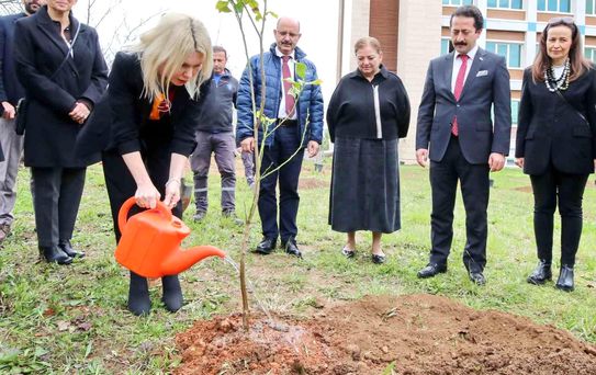 Akdeniz Üniversitesi'nde 5 Binden Fazla Fidan Dikildi
