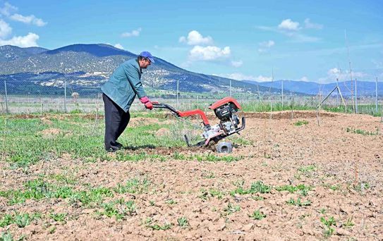 Büyükşehir ipek böceği yetiştiriciliğini yaygınlaştırıyor