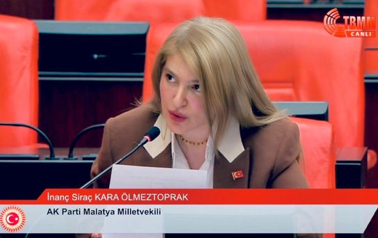 Malatya'nın dolu hasarı ve sanayi yatırımları TBMM gündeminde