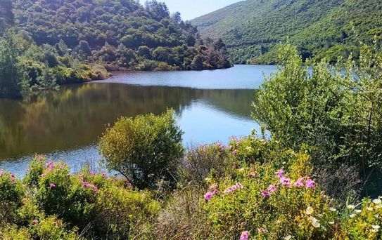Doğaseverler Bahçecik Boğazı'na dikkat çekti