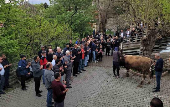 Kemaliye'de 'Şükür Kurbanı' Geleneği Yaşatıldı