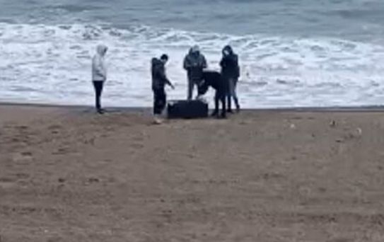 Sakarya'da sahile vuran çantadan 21,5 kg uyuşturucu çıktı