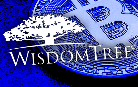 WisdomTree kripto ETP'lerine ilk çeyrekte 137 milyon dolar net giriş oldu