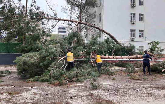Birecik'te afetin yaraları sarılıyor