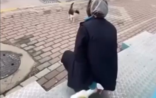 Kedinin yüzüne sprey sıkan market çalışanı gözaltına alındı