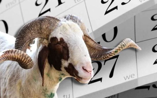 Kurban Bayramı tatili 9 gün oldu