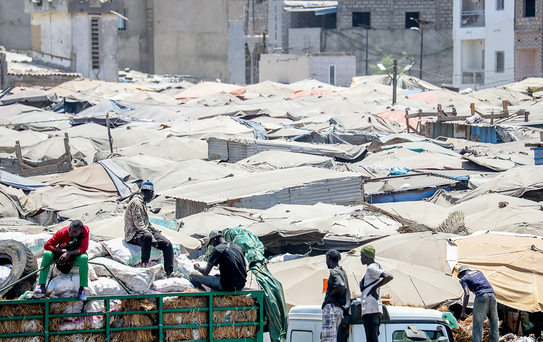 Sıfır Atık Vakfı ve Dakar Büyükelçiliği iş birliğiyle Senegal’de biyogaz ünitesi hizmete alındı