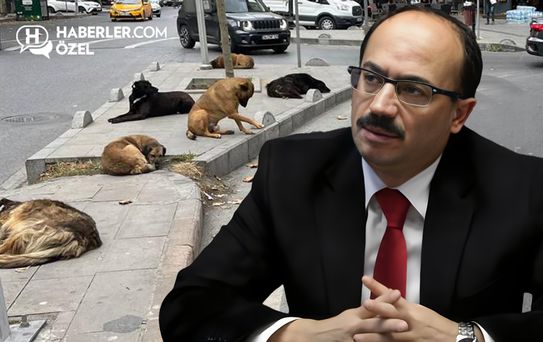 Köpeklerle ilgili sözleri gündem yaratan Osman Mesten'den ilk açıklama