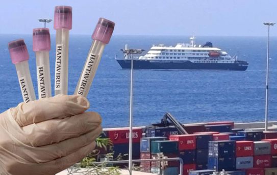 Sağlık Bakanlığından hantavirüs açıklaması: 3 vatandaşımız ülkemize getirilecek