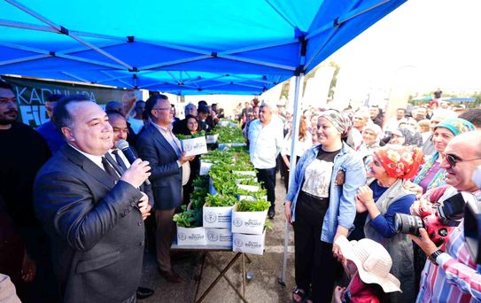 Alaşehir'de 10 bin üreticiye 300 bin yerli fide desteği