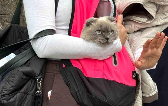 Kocaeli'de Toprak Kayması: 5 Bina Tahliye Edildi