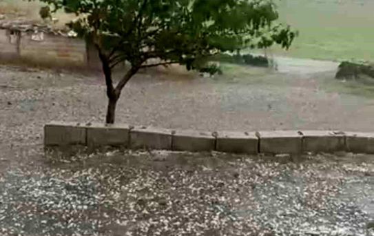 Şanlıurfa'da Dolu Felaketi