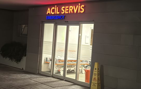Zülfü Livaneli'nin eşi Ülker Livaneli merdivenden düşerek yaralandı