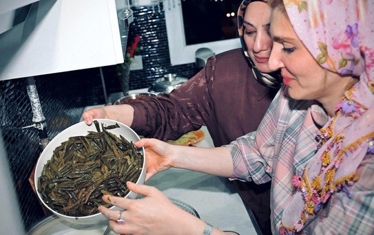 Milletvekili Ölmeztoprak'tan aile ve mutfak haftası etkinlikleri