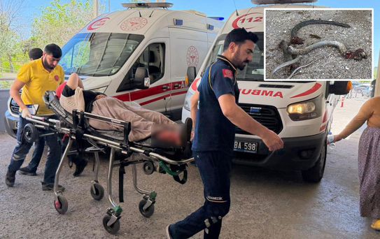 Gider deliğine sıkıştırdığı yılana ateş açtı, evin dışındakileri vurdu: 5 yaralı