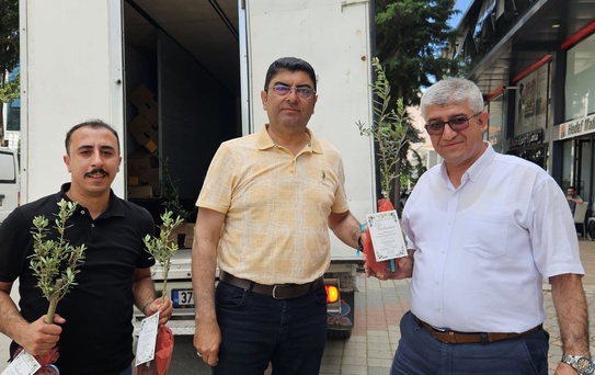 Başkan düğününde zeytin fidanı dağıttı