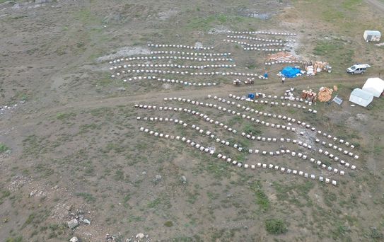 Yozgat'ta Gezginci Arıcılık Sezonu Başladı