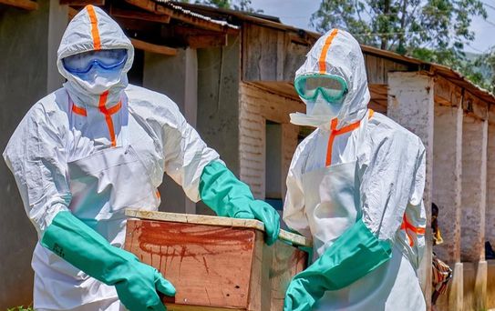 Ebola virüsü sınırları aştı, Avrupa ve Güney Amerika alarma geçti