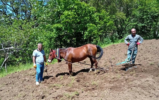 Hizan'da Geleneksel Tarım Uygulamaları