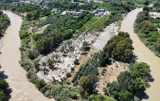 Hatay'da Sel Felaketi: Zeytin Ağaçları Zarar Gördü