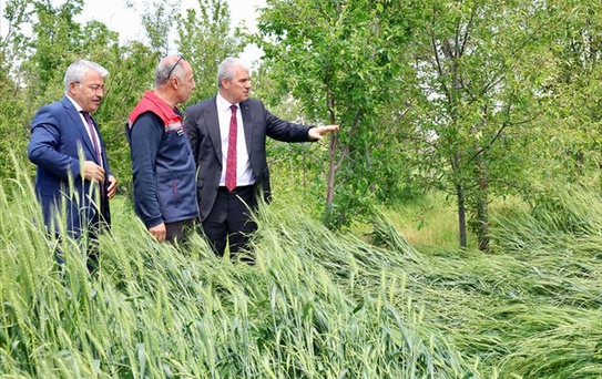 Akşehir'de Sel ve Dolu Zararları İncelendi