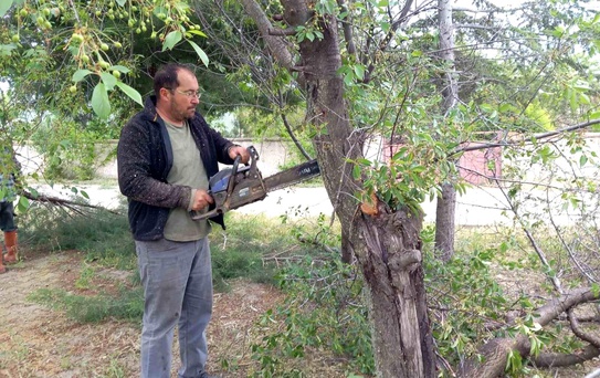 Yarımca Köyü'nde Doğa Yenileniyor