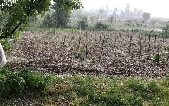 Bursa'da Dolu Tarım Arazilerini Vurdu