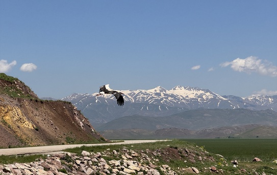 Öğrenciler Hakkari'de Biyoçeşitliliği İnceledi