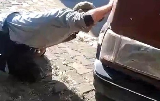 Otomobilin Motorunda Yılan Panic Yaratıyor