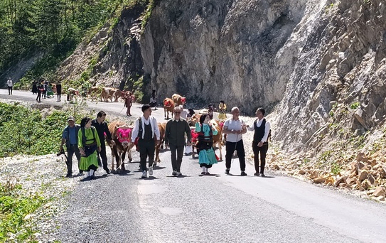 Yayla Göçü Şenliğe Dönüştü