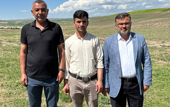 Yerliden umudu kesen besiciler çoban krizine 'İthal' çözüm buldu