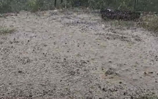 Alaşehir'de Dolu Tarım Alanlarına Zarar Verdi