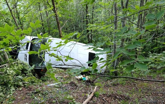 Kumru'da Minibüs Uçurumdan Yuvarlandı: 10 Yaralı