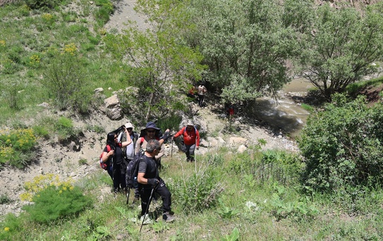 Testere Vadisi: Doğaseverlerin İlgi Merkezi