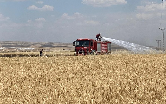 Mardin'de Tarım Arazisinde Yangın