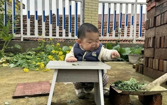 Çinli Wang’ın hikâyesi milyonları ağlattı: 25 yaşında ama bebek boyutlarında