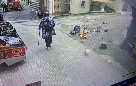 Ayşe Baş'ın Martı Arkadaşı