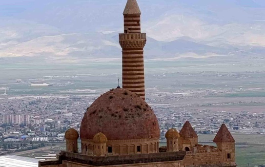 İshakpaşa Sarayı'nda Bitki Endişesi