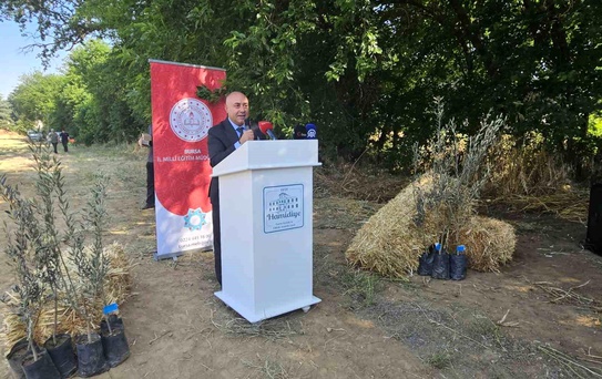 Öğrencilerden Zeytin Fidanı Dikimi