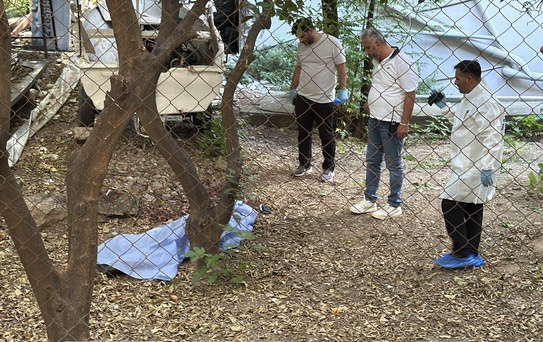 Bahçede kanlar içinde bulundu! Yanındaki detay kafaları karıştırdı