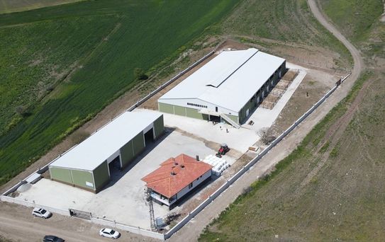 Mimar Serap Yıldırım'dan Süt Üretimi