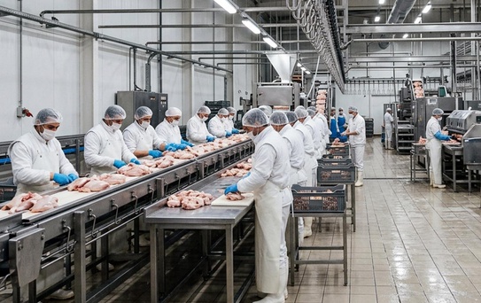 Tavuk firmalarına denetim kayyumu atanmasıyla ilgili başsavcılıktan açıklama